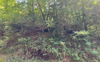 LOT 75 Fires Creek Cove, Hayesville, NC 28904
