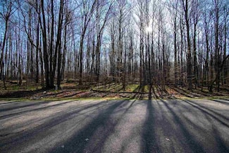 TBD Klein Strass St Unit Lot 15, Bellaire, MI 49615