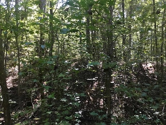 0 High Smith Rd, Finger, TN 38334
