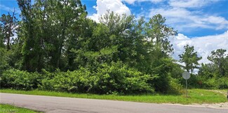 2500 Mabry St Unit 25, Lehigh Acres, FL 33920