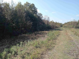 0 Rue Orleans Rd, Holden, LA 70744