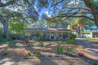 1511 Cameron Ct, Tampa, FL 33629