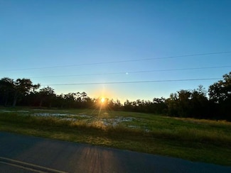 0 NE 50th St, Cross City, FL 32626