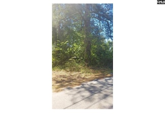 0 Eleanor St, Newberry, SC 29108