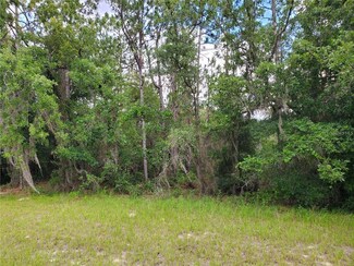 8650 SW 138 Ln, Ocala, FL 34473