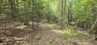 0 Bow Road Mountain Lake Dr, Mt. Nebo, WV 26679