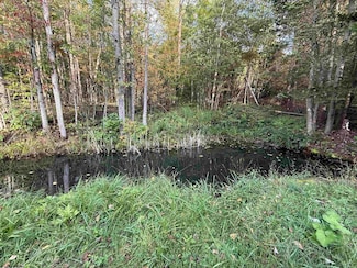 88 Sandy Bottom, Kingwood, WV 26537