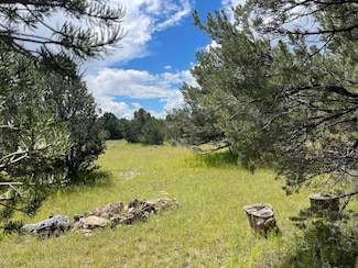 7 Gila Dr, Quemado, NM 87829
