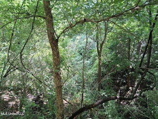 0 N Azalea Ln, Natchez, MS 39120