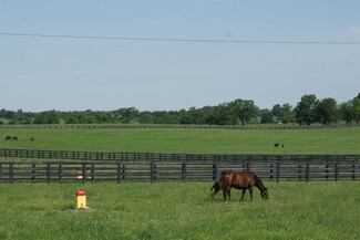 913 Aiken Rd, Versailles, KY 40383