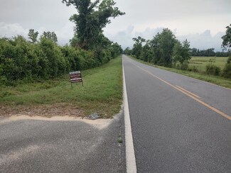 0 SW County Road 351, Mayo, FL 32066