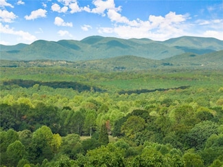 25 Long Mountain Trail, Cleveland, GA 30528