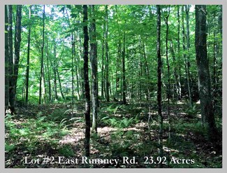 Lot #2 E Rumney, Rumney, NH 03266