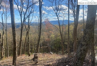 G56 Sky Camp Rd, Banner Elk, NC 28604