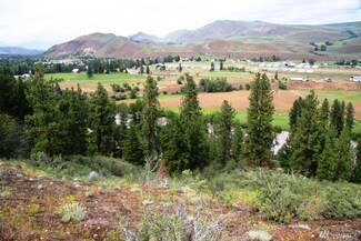 803 Twisp Carlton Rd, Twisp, WA 98856