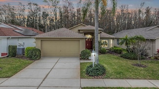 1007 Sweet Jasmine Dr, Trinity, FL 34655