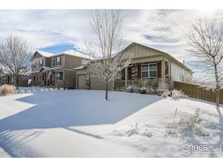 501 Buckrake St, Severance, CO 80550