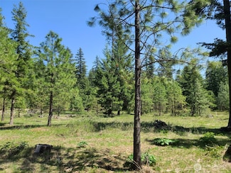 85 Wanawish Loop, Cle Elum, WA 98922
