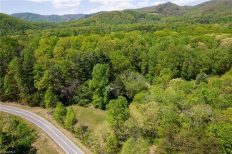 1300 Lumber Plant Rd, Lowgap, NC 27024