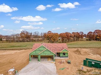 1123 Waymaker Ln, Waterloo, IL 62298