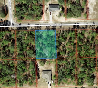 3978 W Fireside Ln, Citrus Springs, FL 34433