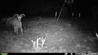 000 Farm To Market 573, Mullin, TX 76864