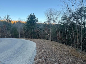 790 Pomme de Terre Rd, Scott Township, MO 65616