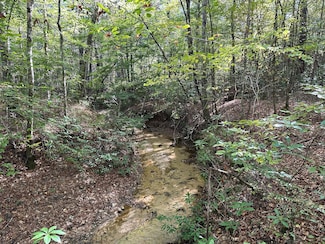 0 Lord Rd, Dozier, AL 36028