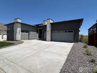 1647 Flourish Dr, Windsor, CO 80550