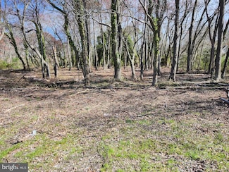 0 Bank Rd Unit MDWC2017366, Nanticoke, MD 21840