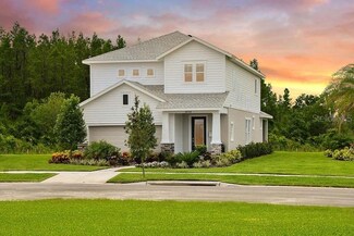 28977 Orange Berry Dr, Wesley Chapel, FL 33543