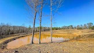 0 Jeanette Holladay Rd, Parsons, TN 38363