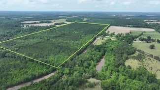 Xx Liberty Rd Unit LotWP001, Pansey, AL 36370