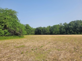 U S 54 (6 2+ - Acres), Bowling Green, MO 63334