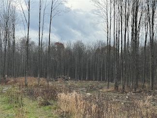 0 Root Rd, Conneaut, OH 44030