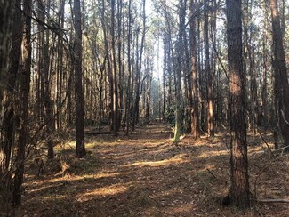 00 W Burnett, Jayess, MS 39641