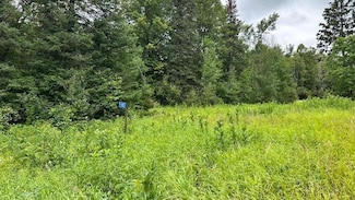 51801 Townhall Rd, Max Township, MN 56681