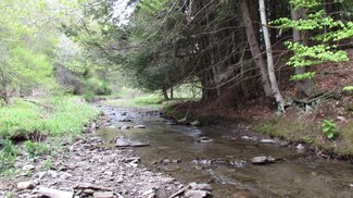 0 Wildman Rd Unit S1090180, Cincinnatus, NY 13040