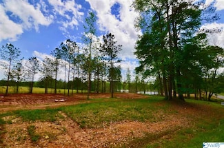 Lot 2 Church Cir, Gadsden, AL 35901