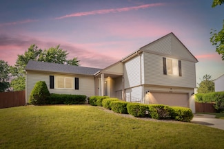 633 Buckthorn Terrace, Buffalo Grove, IL 60089