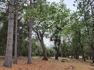 16700 Alice Way, Alta Sierra, CA 95949