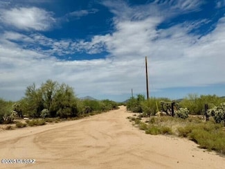 15220 W Many Horses Rd Unit 189, Three Points, AZ 85736