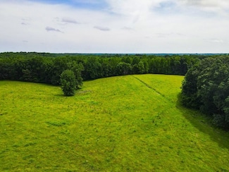 0 County Road 496 Unit LotWP002 23933600, Lexington, AL 35648
