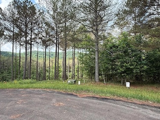 Lot 9 Eastview Trail, Ellijay, GA 30536