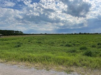 0 Charles Osborne Rd Unit MFRO6152369, Umatilla, FL 32784