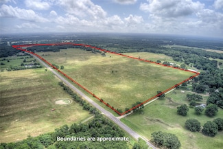 TBD Fm 1567, Lone Oak, TX 75453