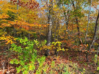 Lot 38 Spruceview Ln, MacKinac Island, MI 49757