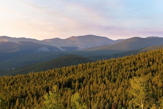 620 Cascade Creek Rd, Idaho Springs, CO 80452