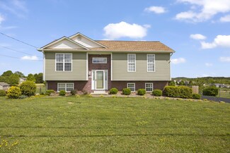1234 Bowmantown Rd, Limestone, TN 37681