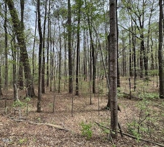 336 Forest Hill Dr, Littleton, NC 27850